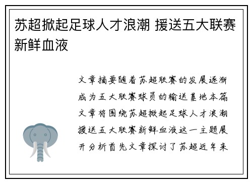 苏超掀起足球人才浪潮 援送五大联赛新鲜血液 苏超掀起足球人才浪潮 援送五大联赛新鲜血液